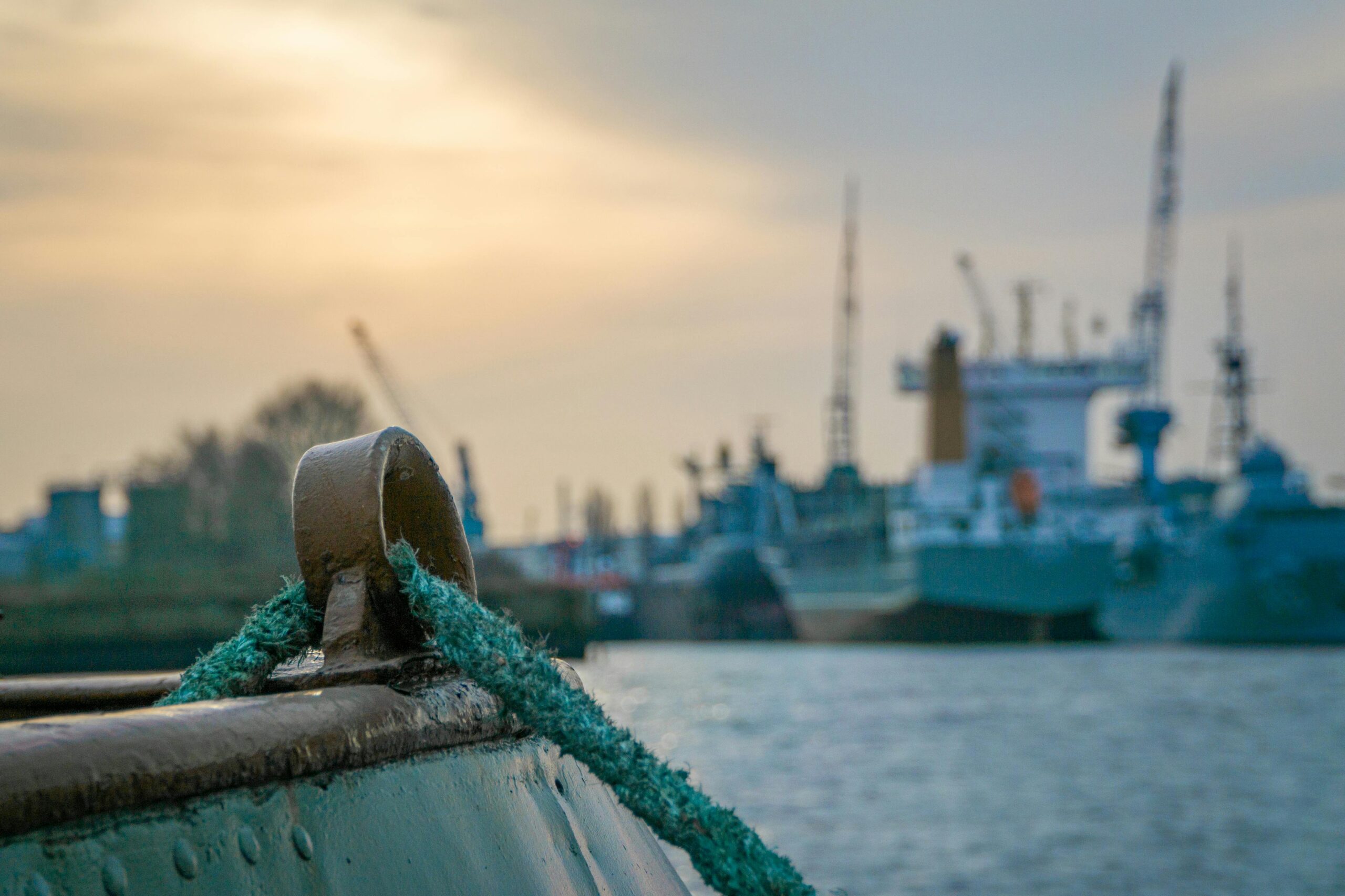 pexels-mali-70419