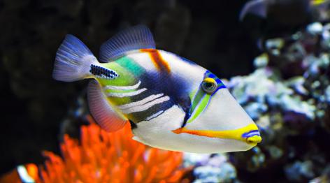 Palma Aquarium_Mallorca